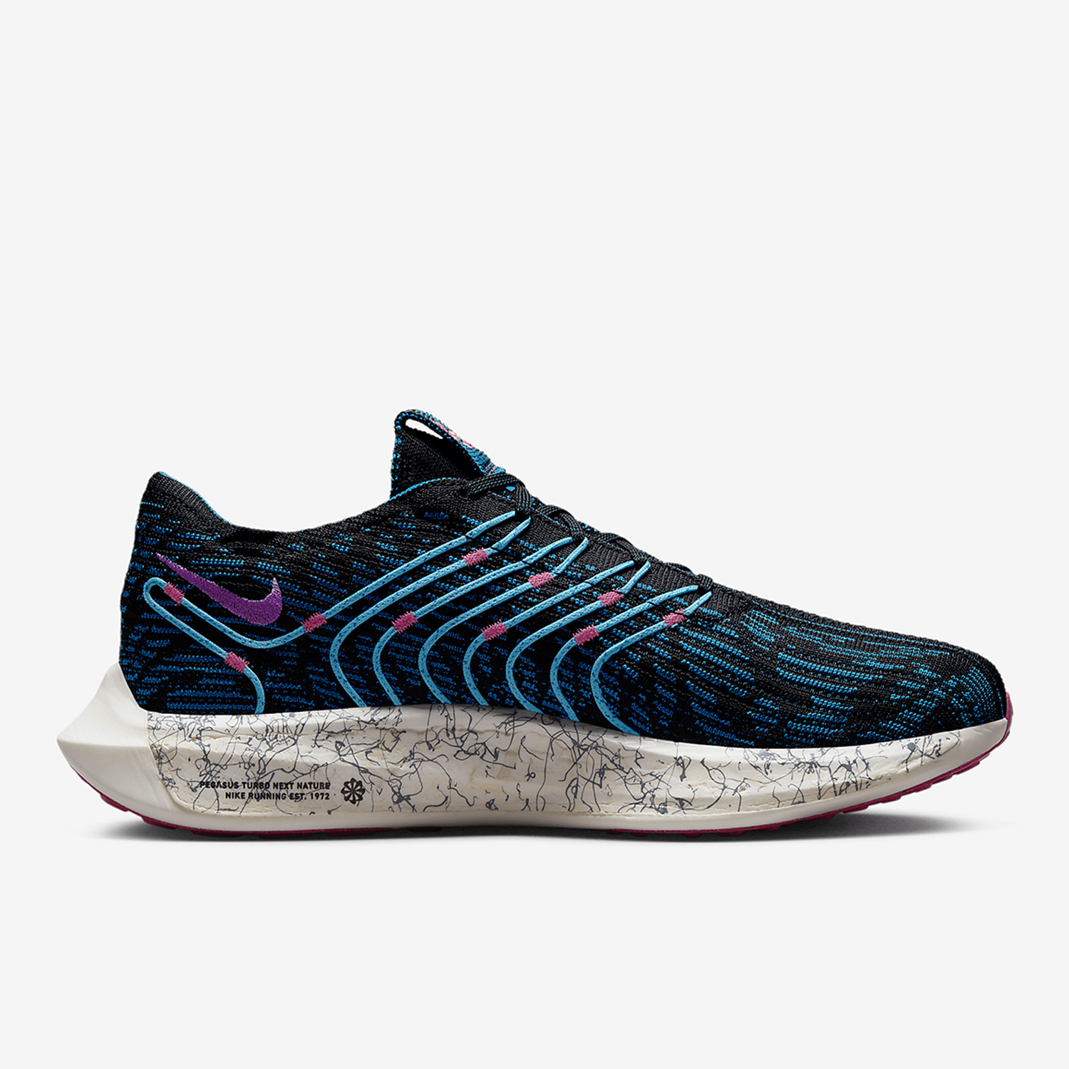 Nike Official Genuine Pegasus  - đánh giá và giá Men'S Shoes In Next